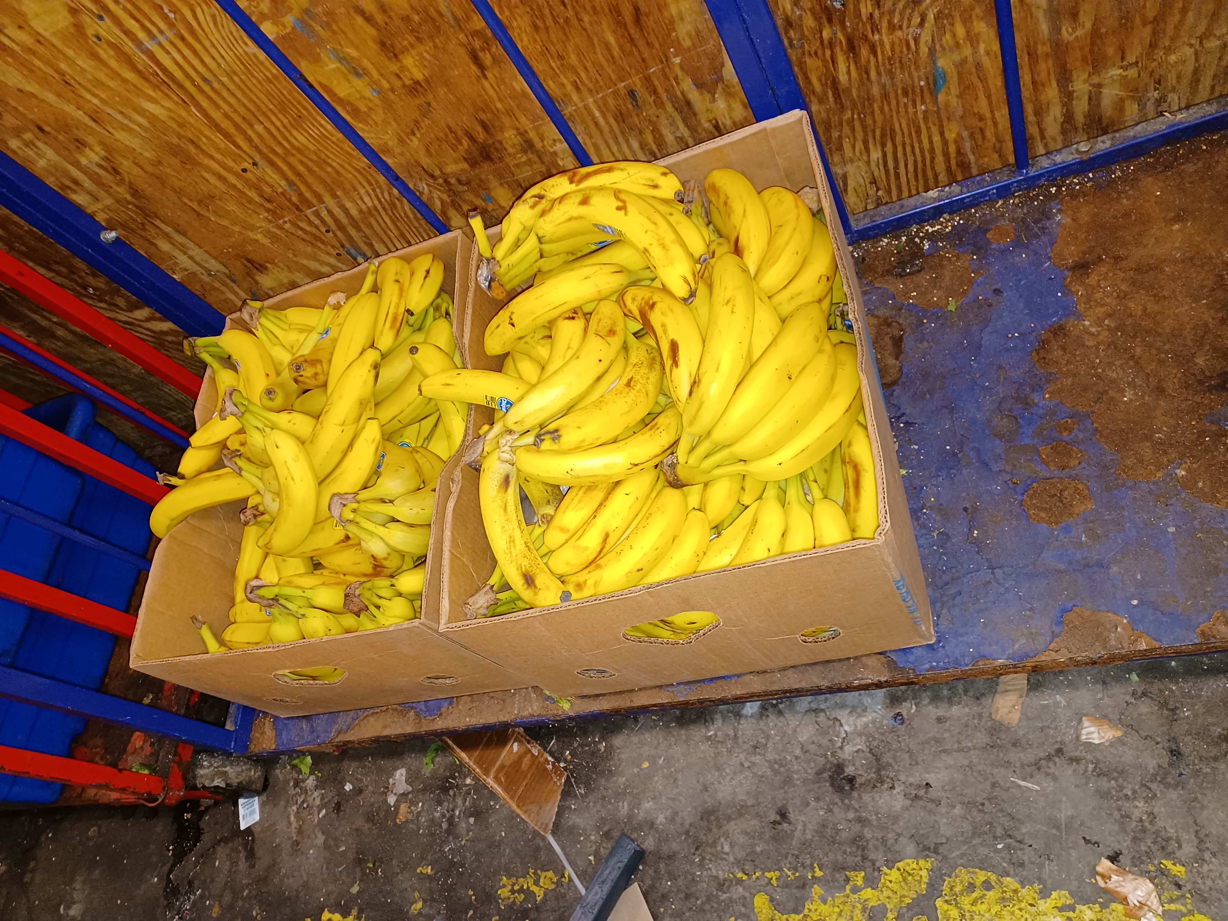 Bonkers bananas