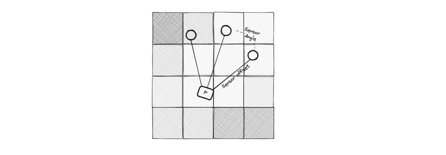 A single Physarum particle with sensors navigating the chemical trail map. The amount of chemical deposit at the left sensor is higher than the center or right.