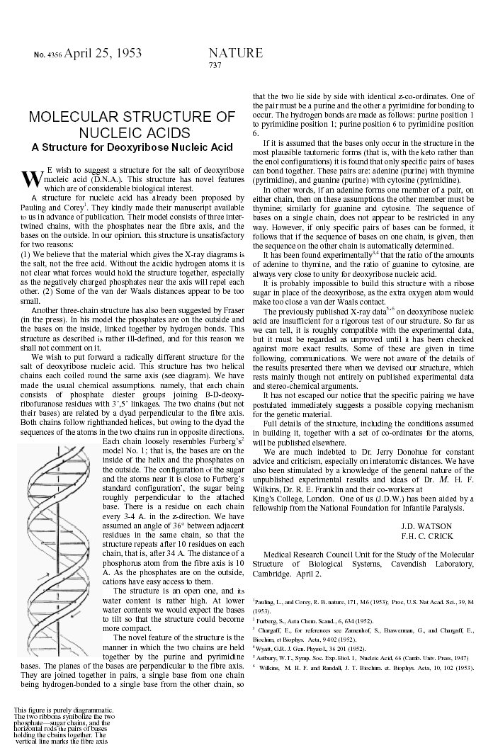 Molecular Structure of Nucleic Acids: A Structure for Deoxyribose Nucleic Acid, Watson, Crick, Nature 171, 737–738 (1953)