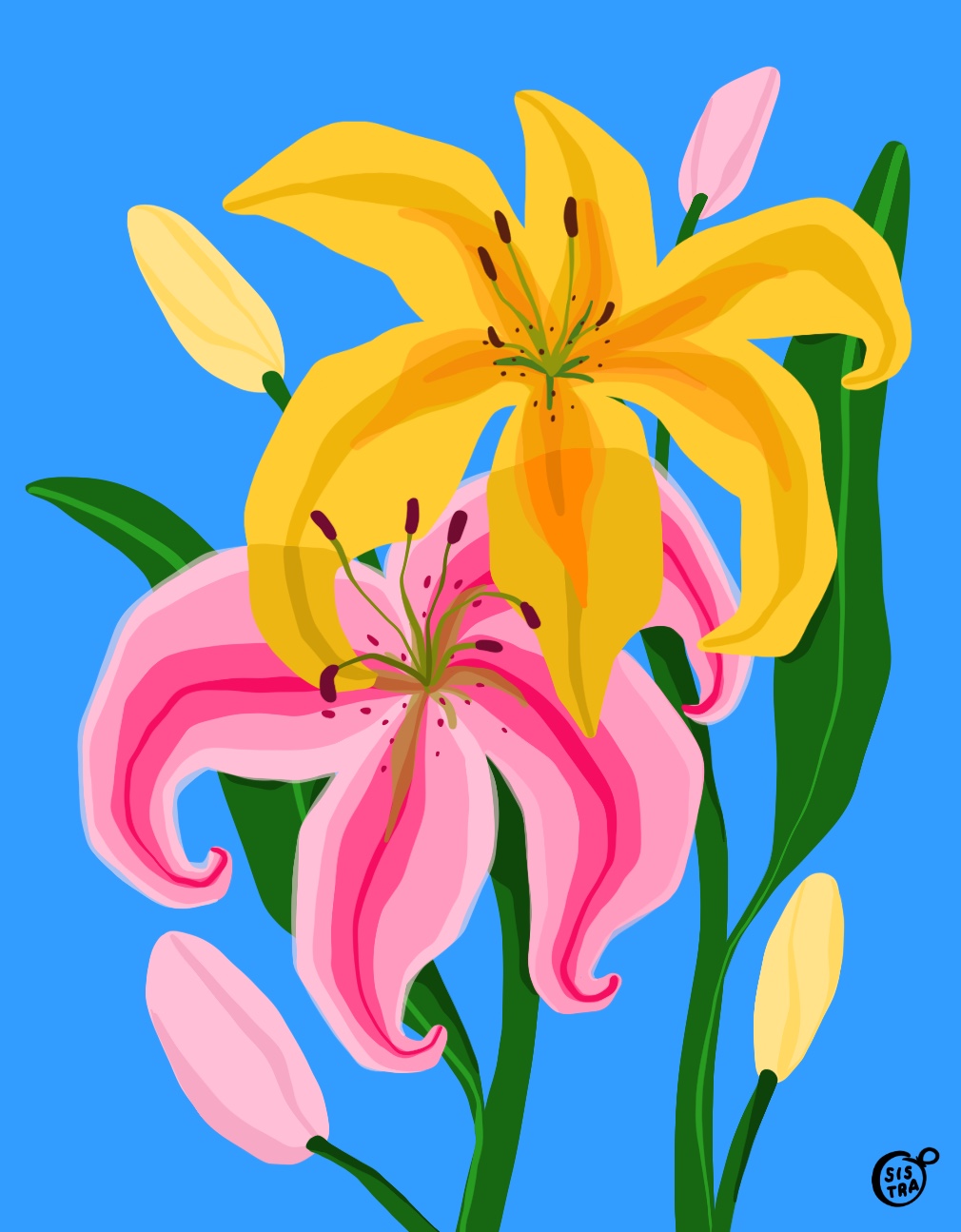 lily flower postcard by sis_tra