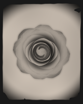 Shaders used in Rose 1851