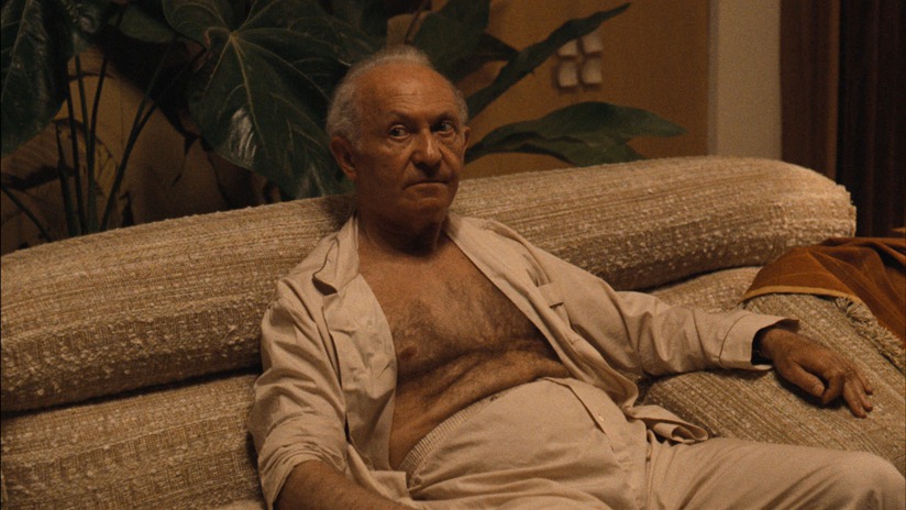 Hyman Roth