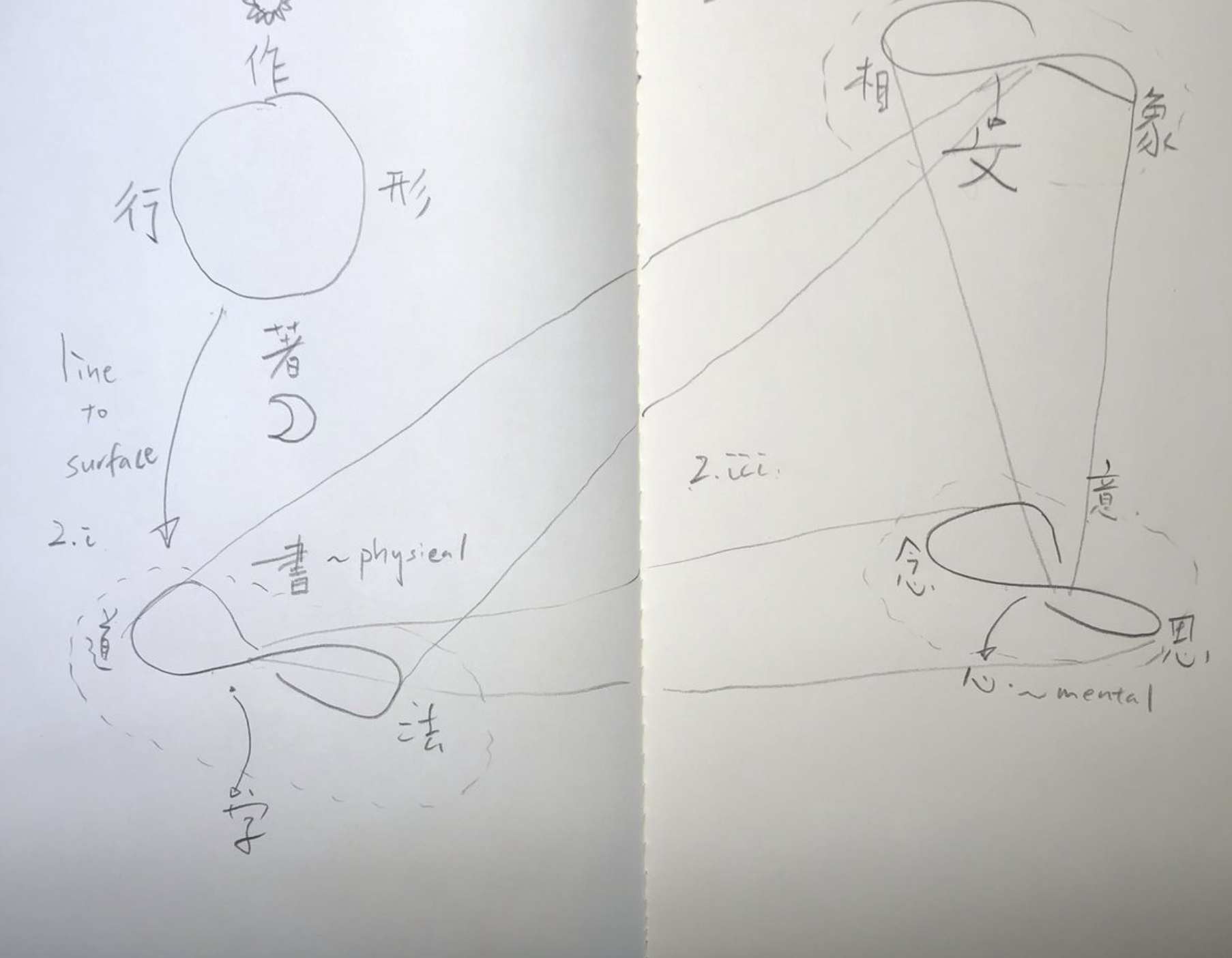 General relativity of Calligraphy model. 