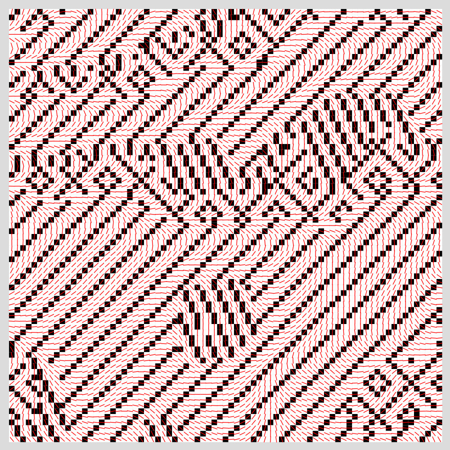 Debug view of the code, showing a perlin noise flow field and the application of different woven patterns depending on the flow field.