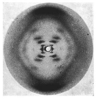 The iconic photo 51 by Raymond Gosling and Rosalind Franklin (1952) influenced Watson and Crick's work and allowed a fascinating glimpse into the molecular world.