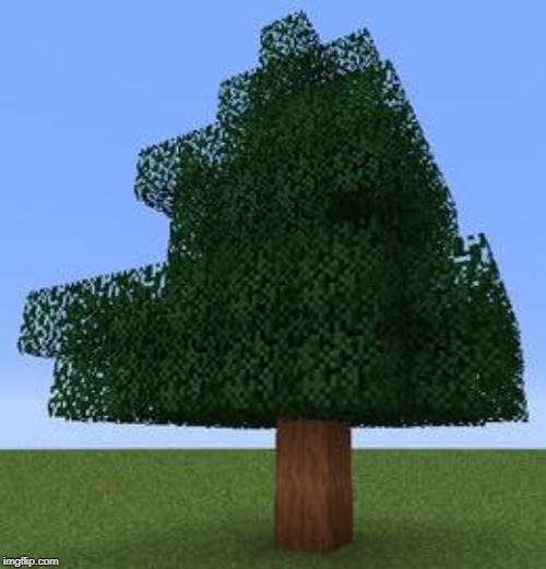 tree