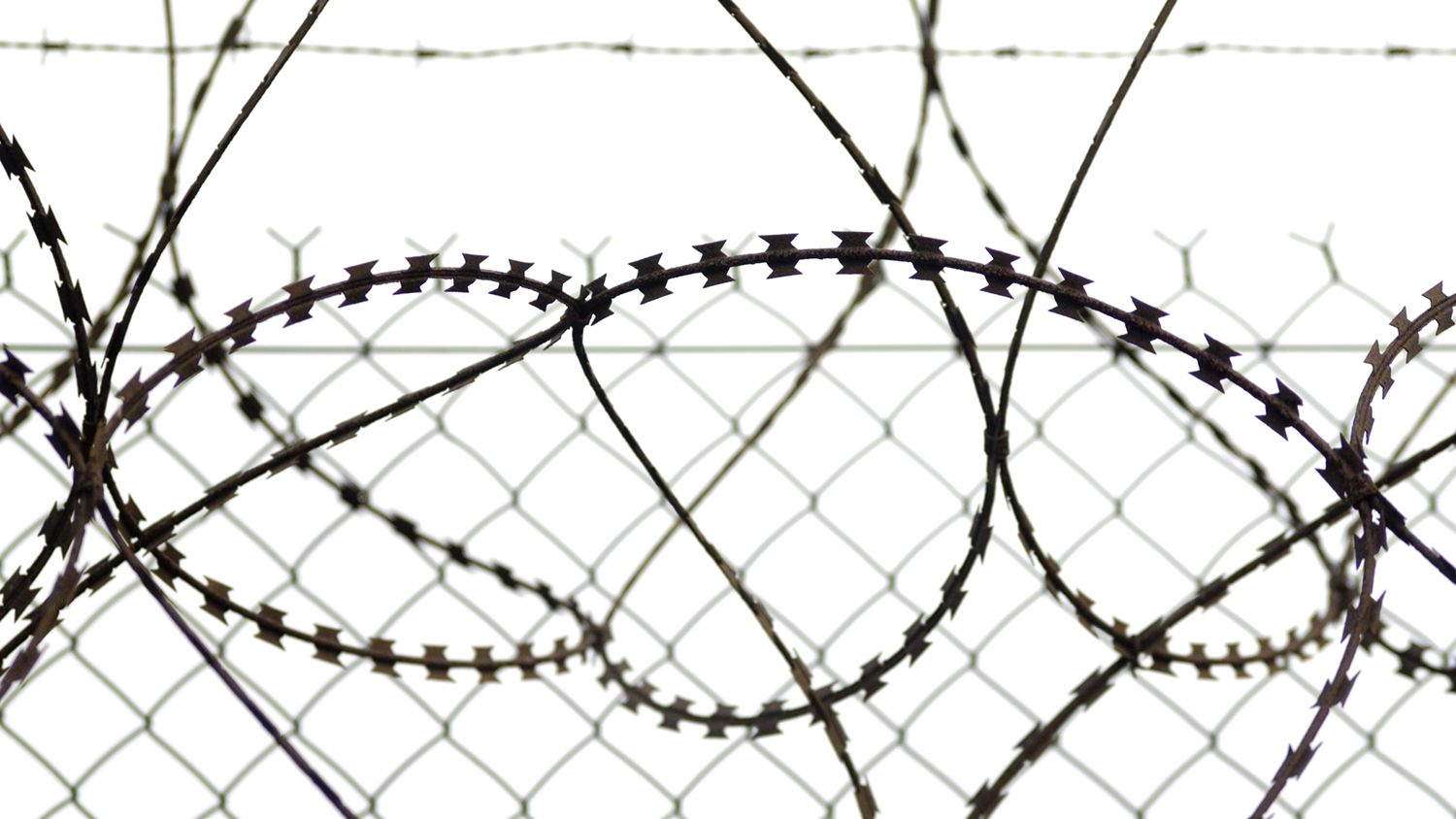 Barbed Wire