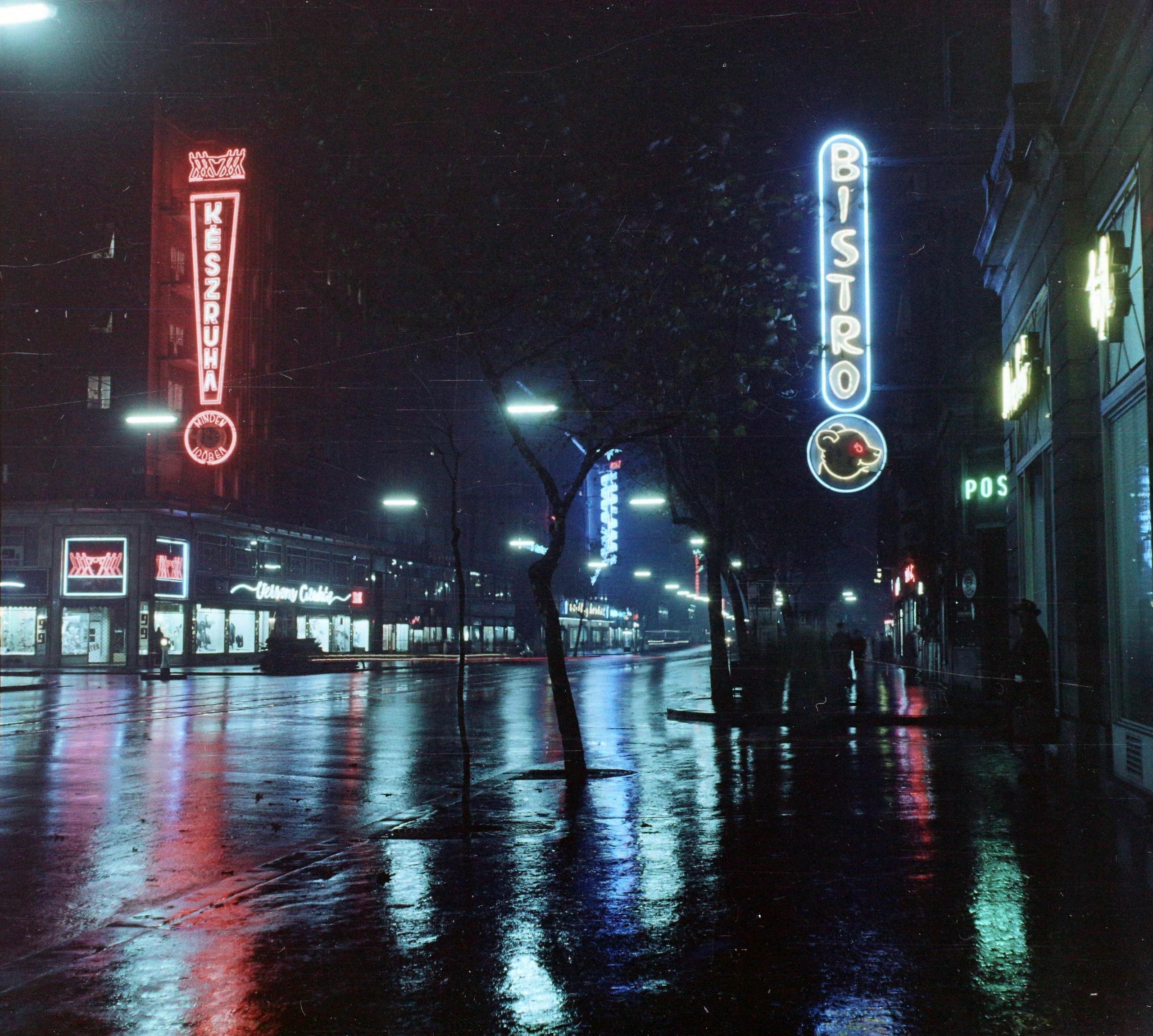 Credit: Fortepan / Budapest Főváros Levéltára / BRFK helyszínelési fényképei, 1959