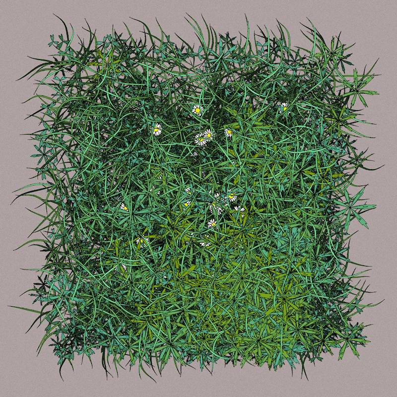 A color version. Clovers, grasses, leaves... have their own shade of green, with small per-item randomization