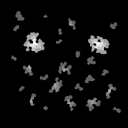 The center of large-sized islands starts with the highest suitable elevation before tapering off.