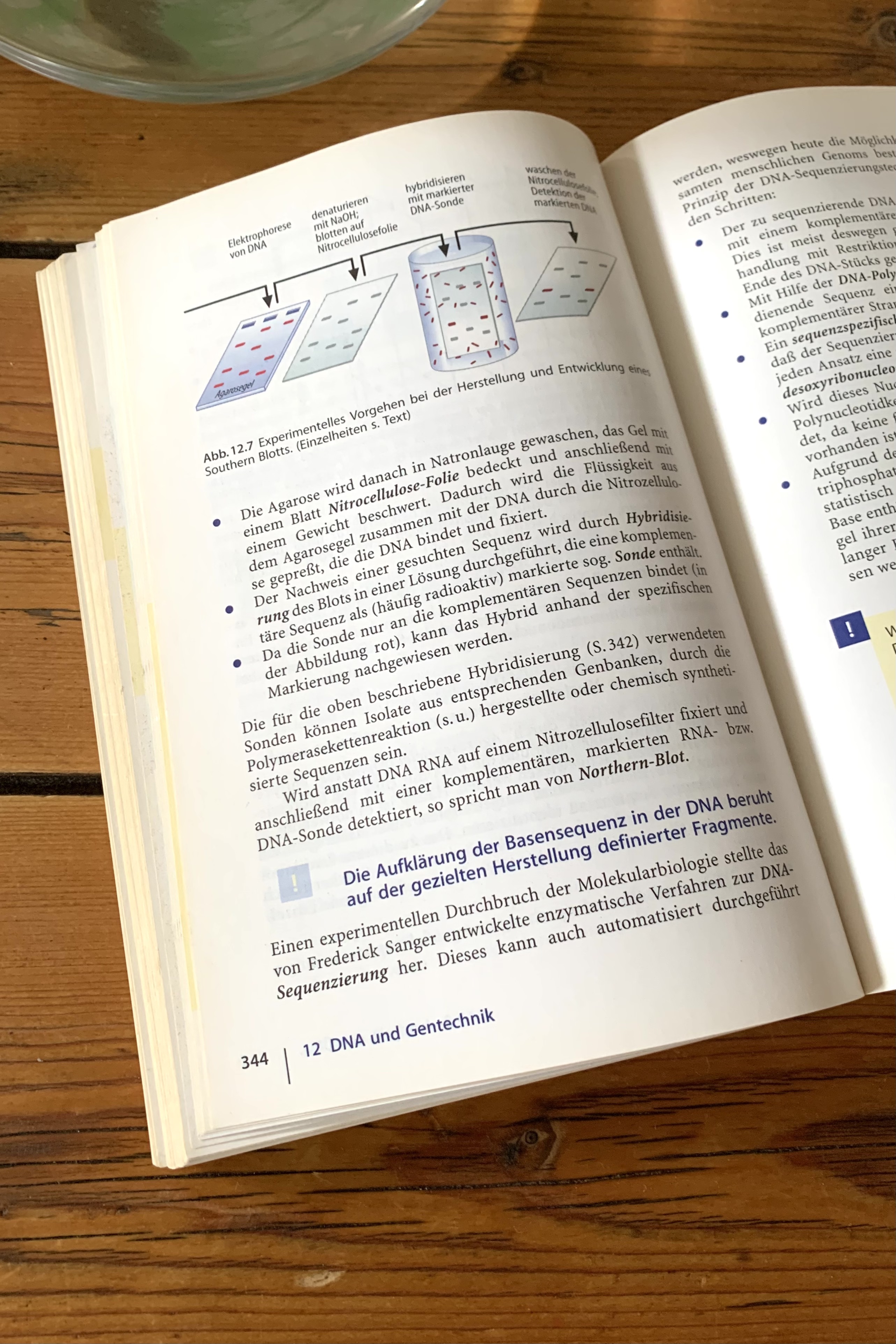 A page about Southern blots from my old biochemistry text book