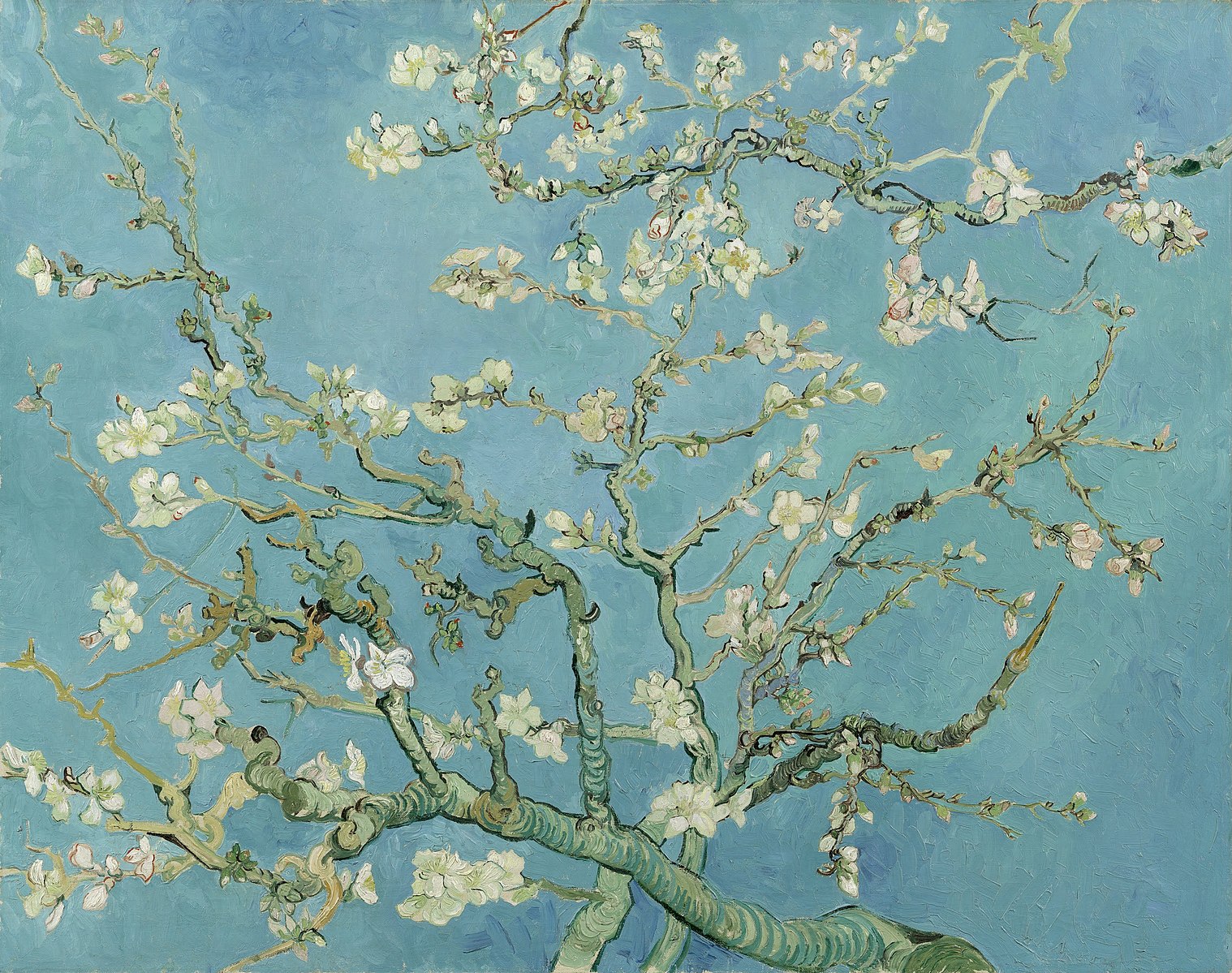 Vincent van Gogh, Almond Blossom, 1890. (wikipedia)